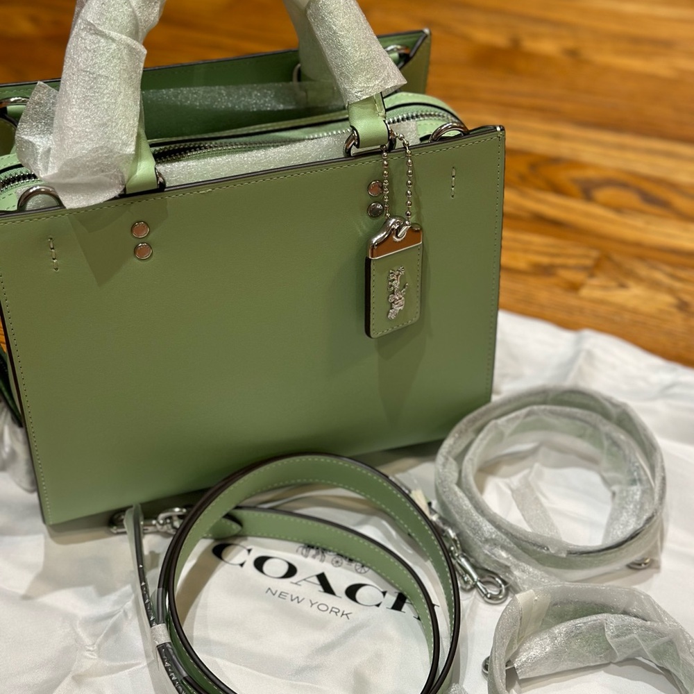 COACH PALE PISTACHIO ROGUE 25 IN SILVER HARDWARE - Picture 2 of 6